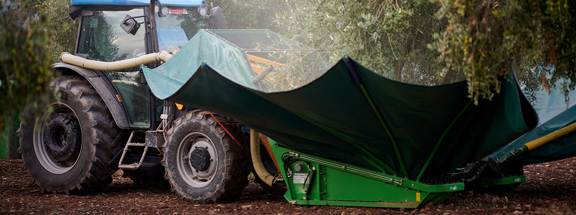 Imagen tractor cultivando olivos